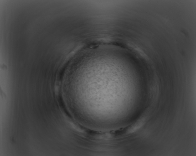 X0000090870576200708031012