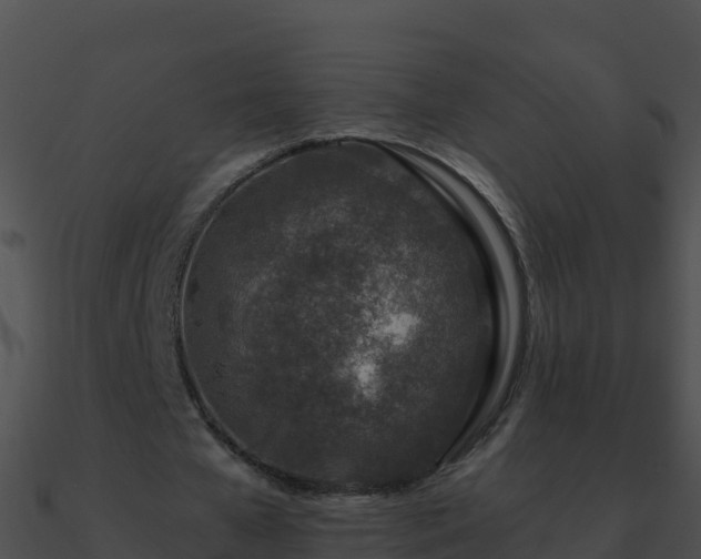 X0000090870577200708031011