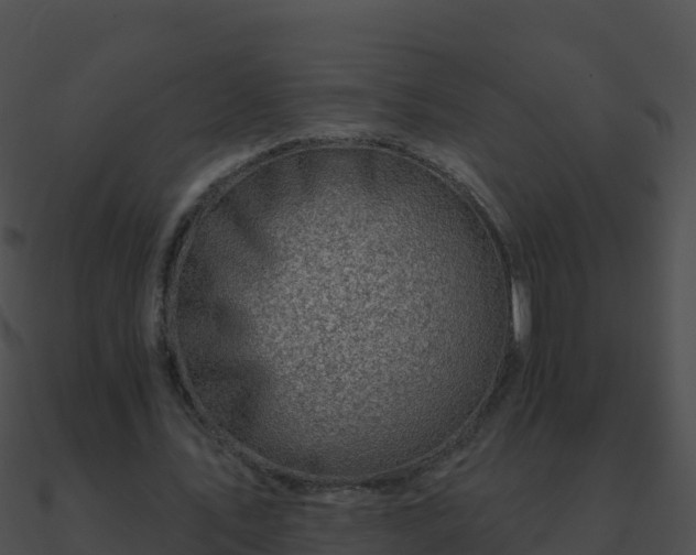 X0000090870579200708031011