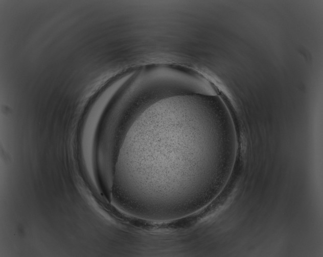 X0000090870581200708031011