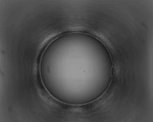 X0000090870583200708031011