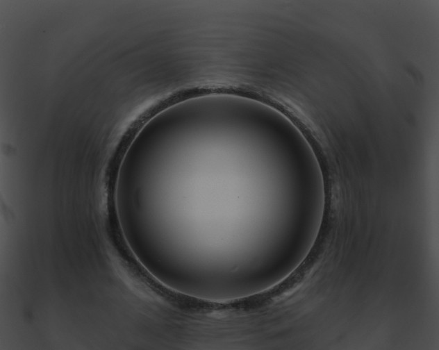 X0000090870584200708031011