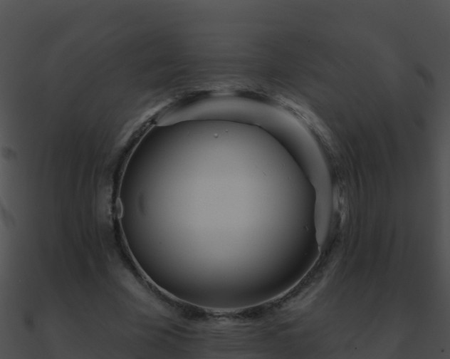 X0000090870585200708031011