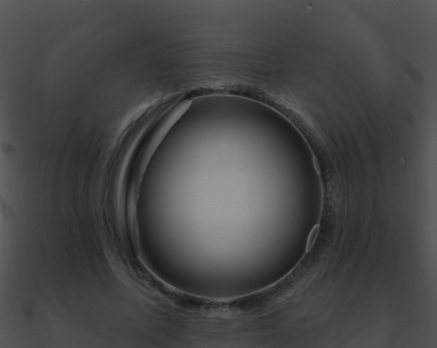 X0000090870587200708031011