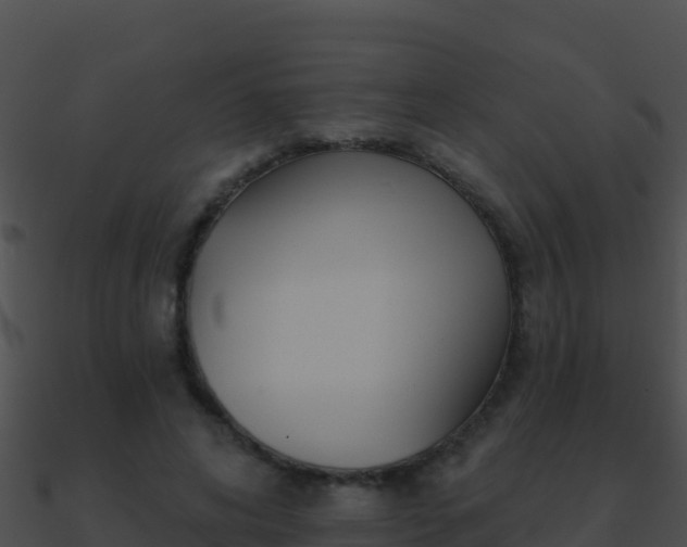 X0000090870592200708031011