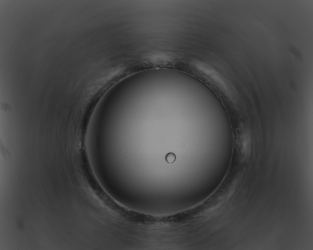 X0000090870593200708031011