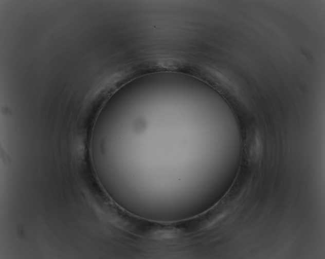 X0000090870595200708031011