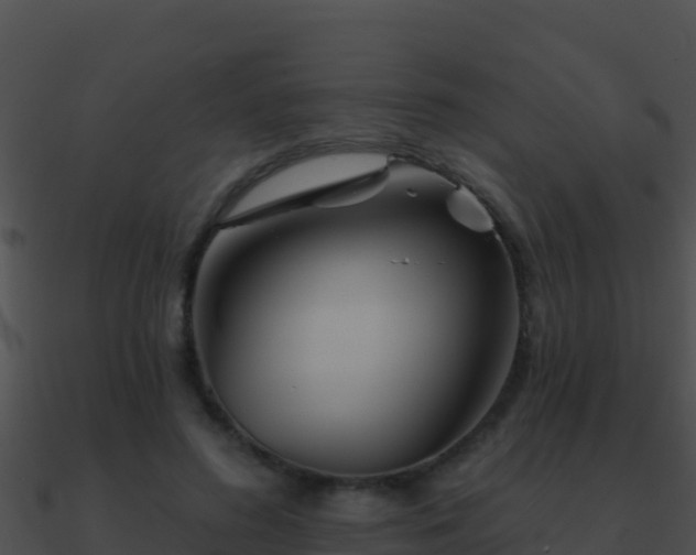 X0000090870596200708031011