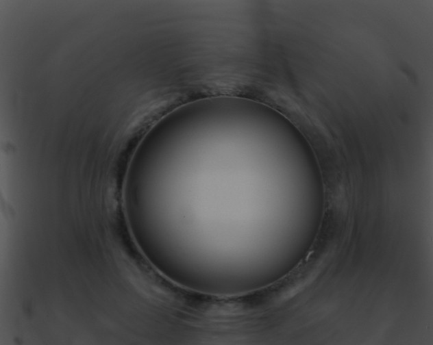 X0000090870599200708031011