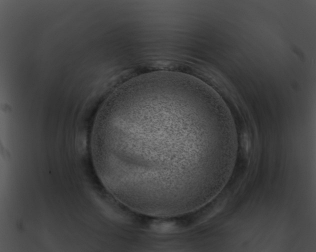 X0000090870602200708031011