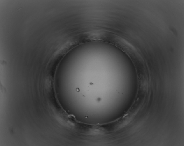 X0000090870603200708031011