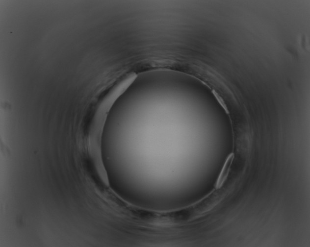 X0000090870604200708031011