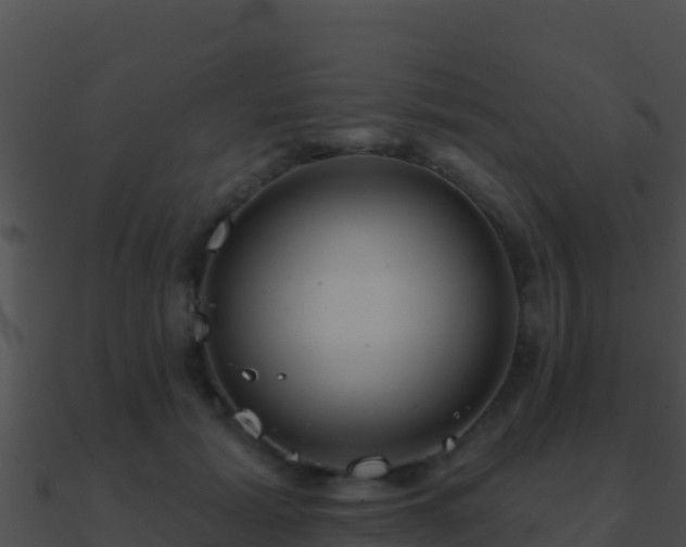 X0000090870605200708031011