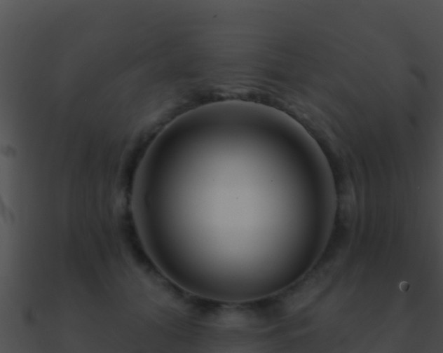 X0000090870608200708031010