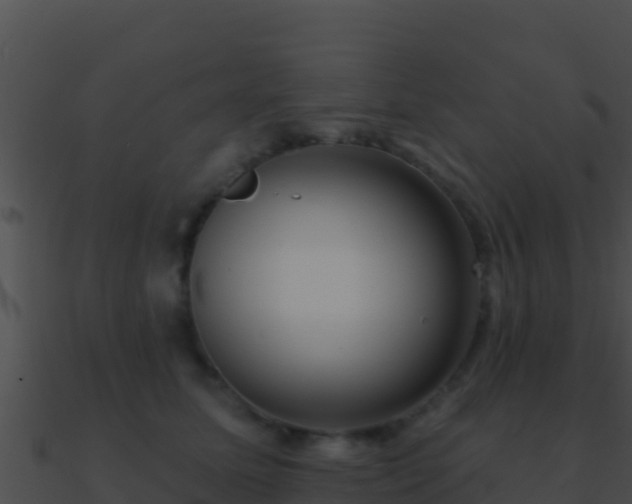 X0000090870611200708031010