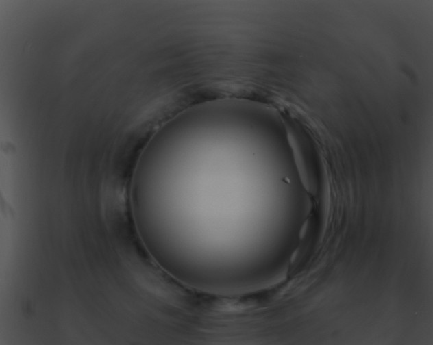 X0000090870613200708031010