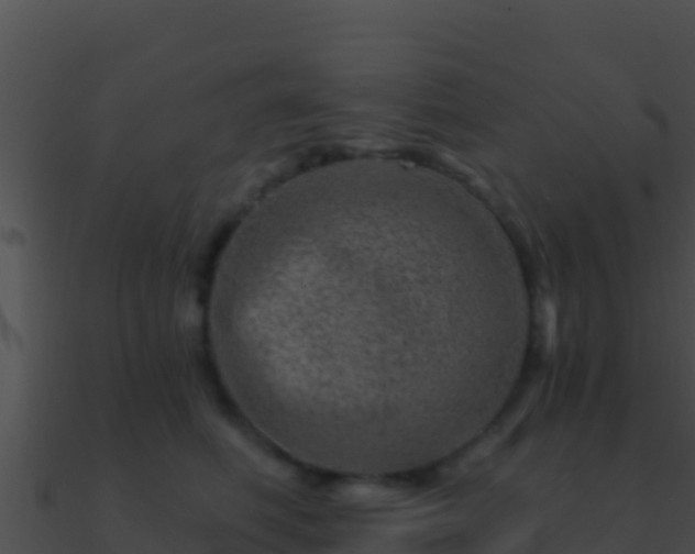 X0000090870614200708031010