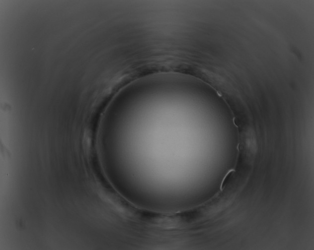 X0000090870615200708031010