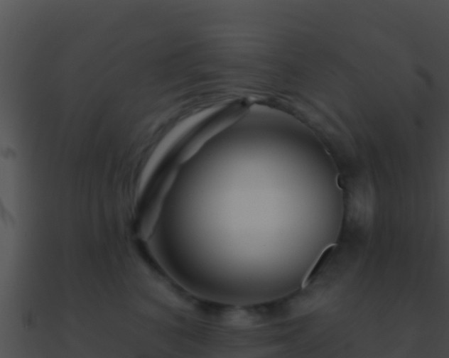 X0000090870616200708031010