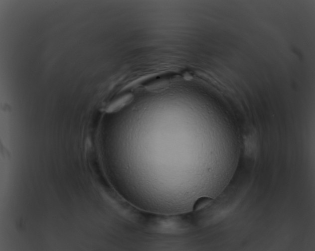 X0000090870618200708031010