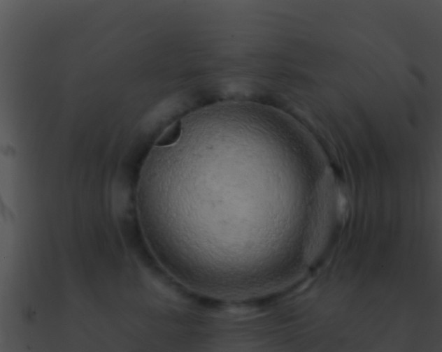 X0000090870619200708031010