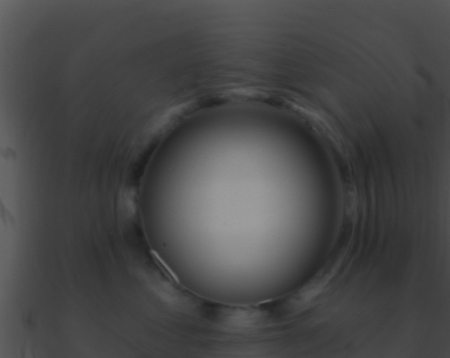 X0000090870621200708031010