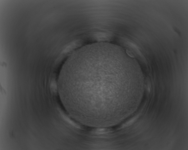 X0000090870622200708031010