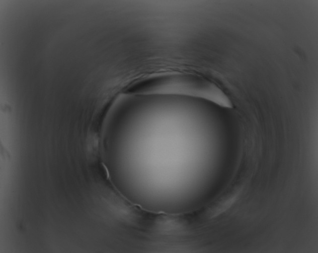 X0000090870624200708031010