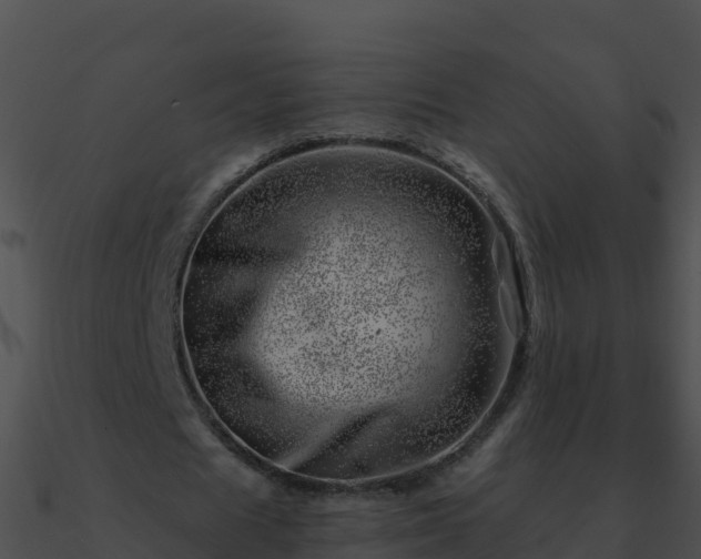 X0000090870625200708031010