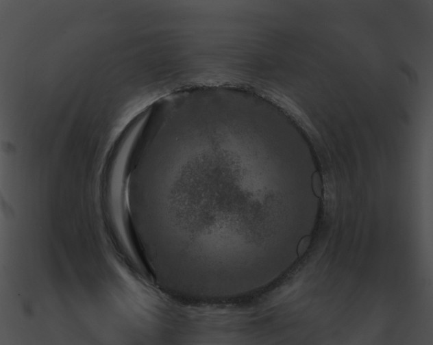 X0000090870626200708031010