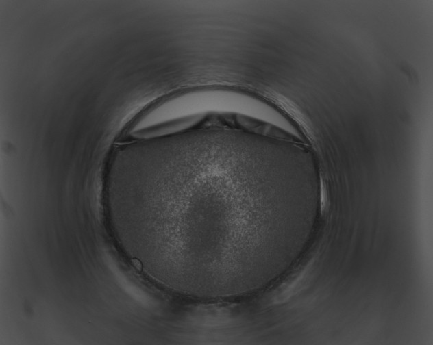 X0000090870627200708031010