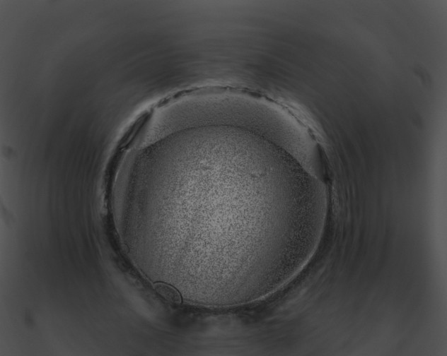 X0000090870628200708031010