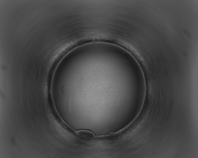 X0000090870629200708031010