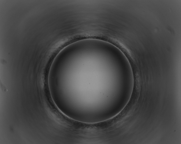 X0000090870631200708031010