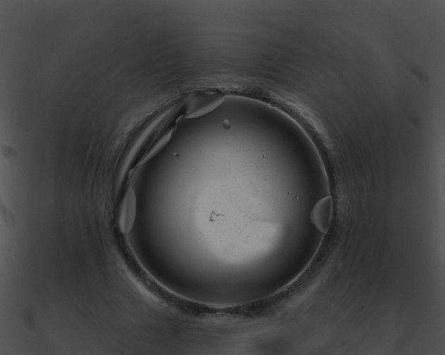 X0000090870633200708031010