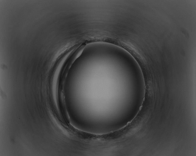 X0000090870634200708031010