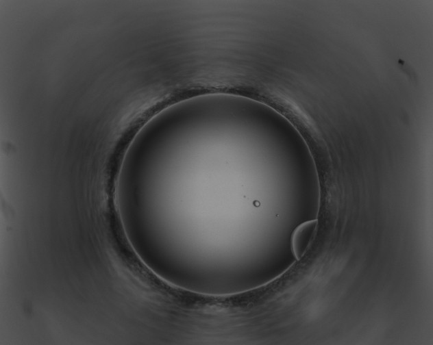 X0000090870635200708031010