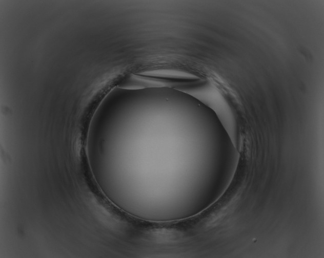 X0000090870637200708031010