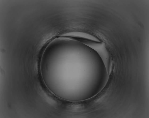 X0000090870638200708031010