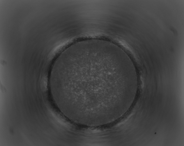 X0000090870640200708031010