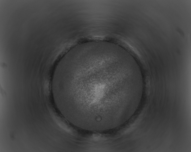 X0000090870641200708031010