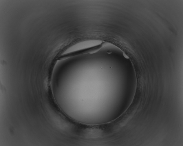 X0000090870644200708031010