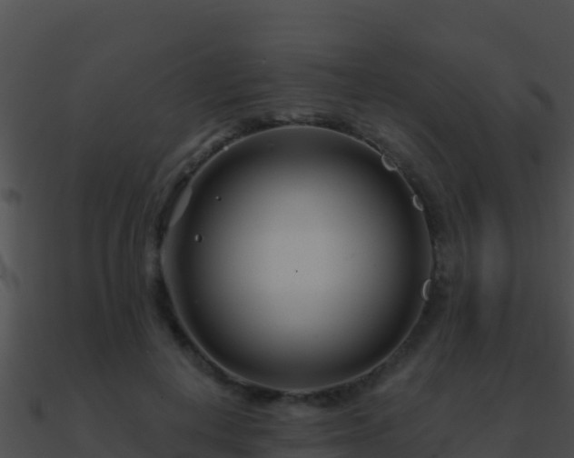 X0000090870648200708031010