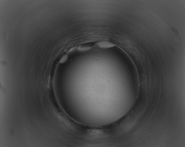 X0000090870649200708031010