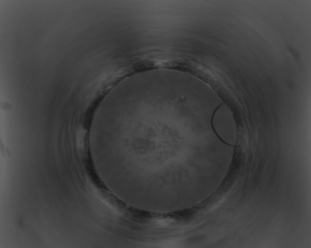 X0000090870650200708031010