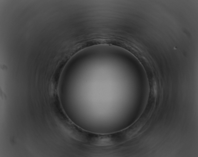 X0000090870651200708031010