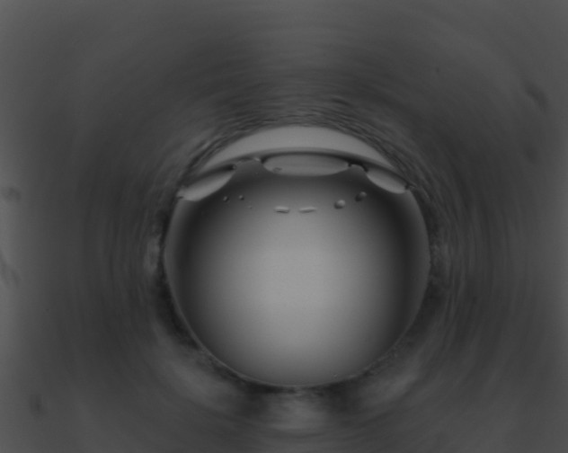 X0000090870652200708031010