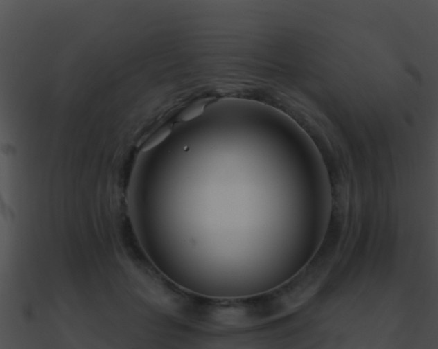 X0000090870653200708031010