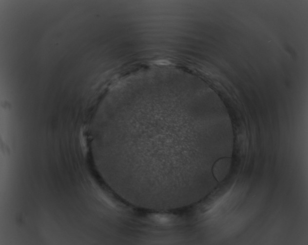 X0000090870654200708031010