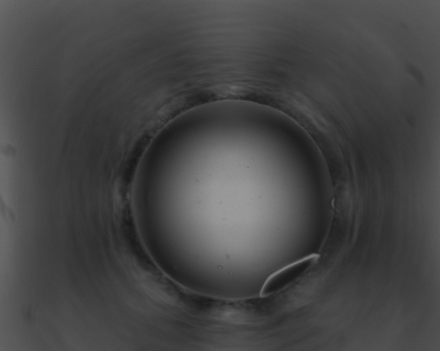 X0000090870655200708031010